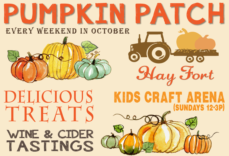 Pumpkin Patch, October Weekends